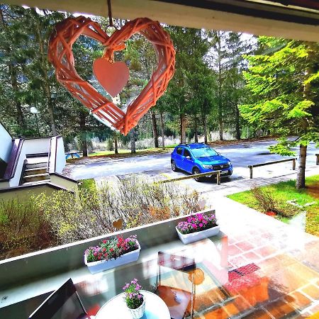 Dapolo - Cosy Appartment In Val Di Fassa Campestrin 外观 照片