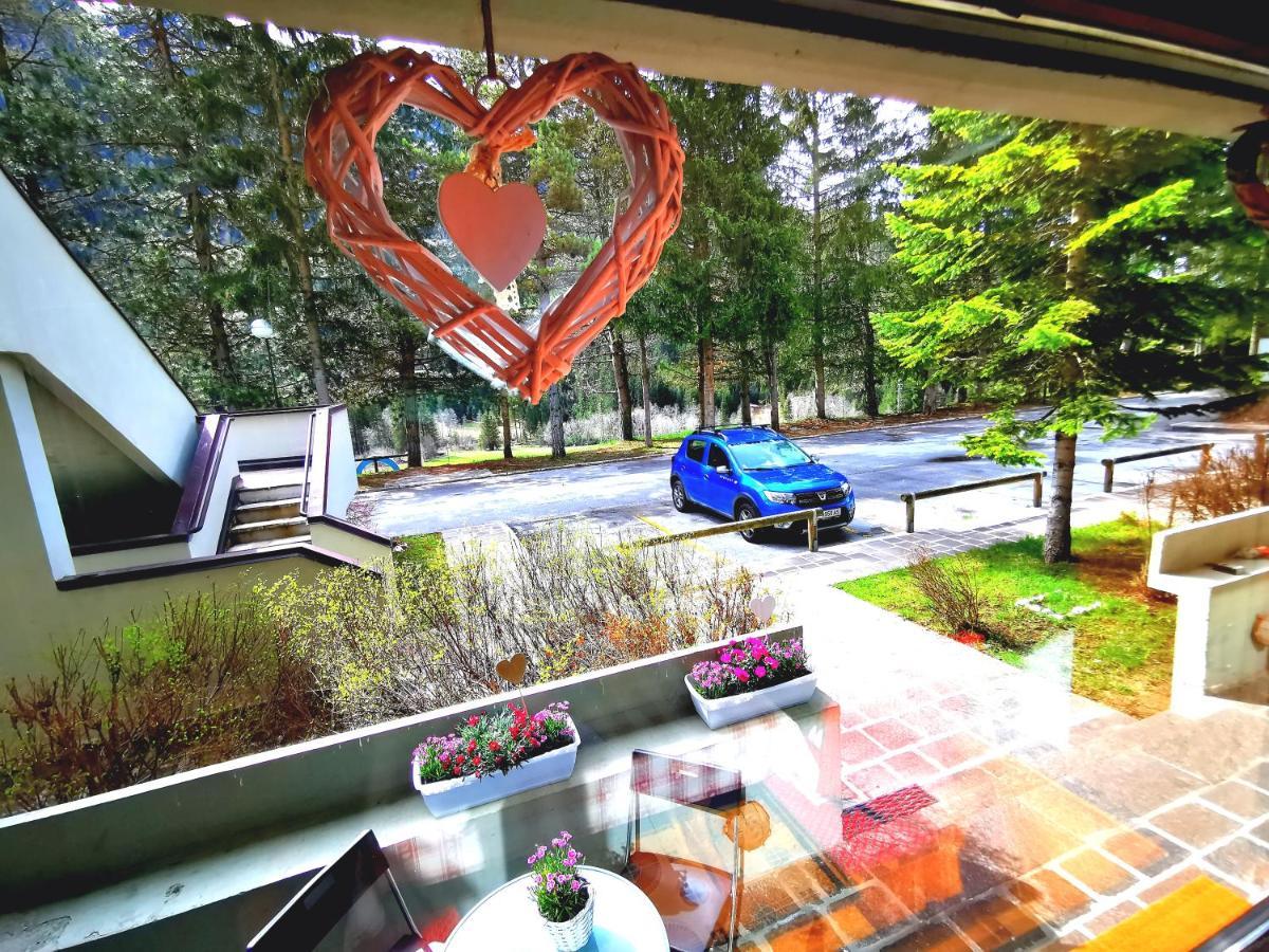 Dapolo - Cosy Appartment In Val Di Fassa Campestrin 外观 照片