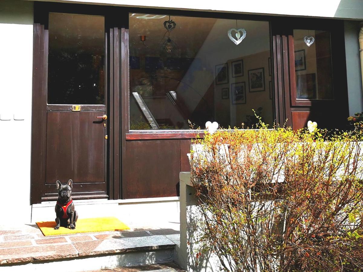 Dapolo - Cosy Appartment In Val Di Fassa Campestrin 外观 照片